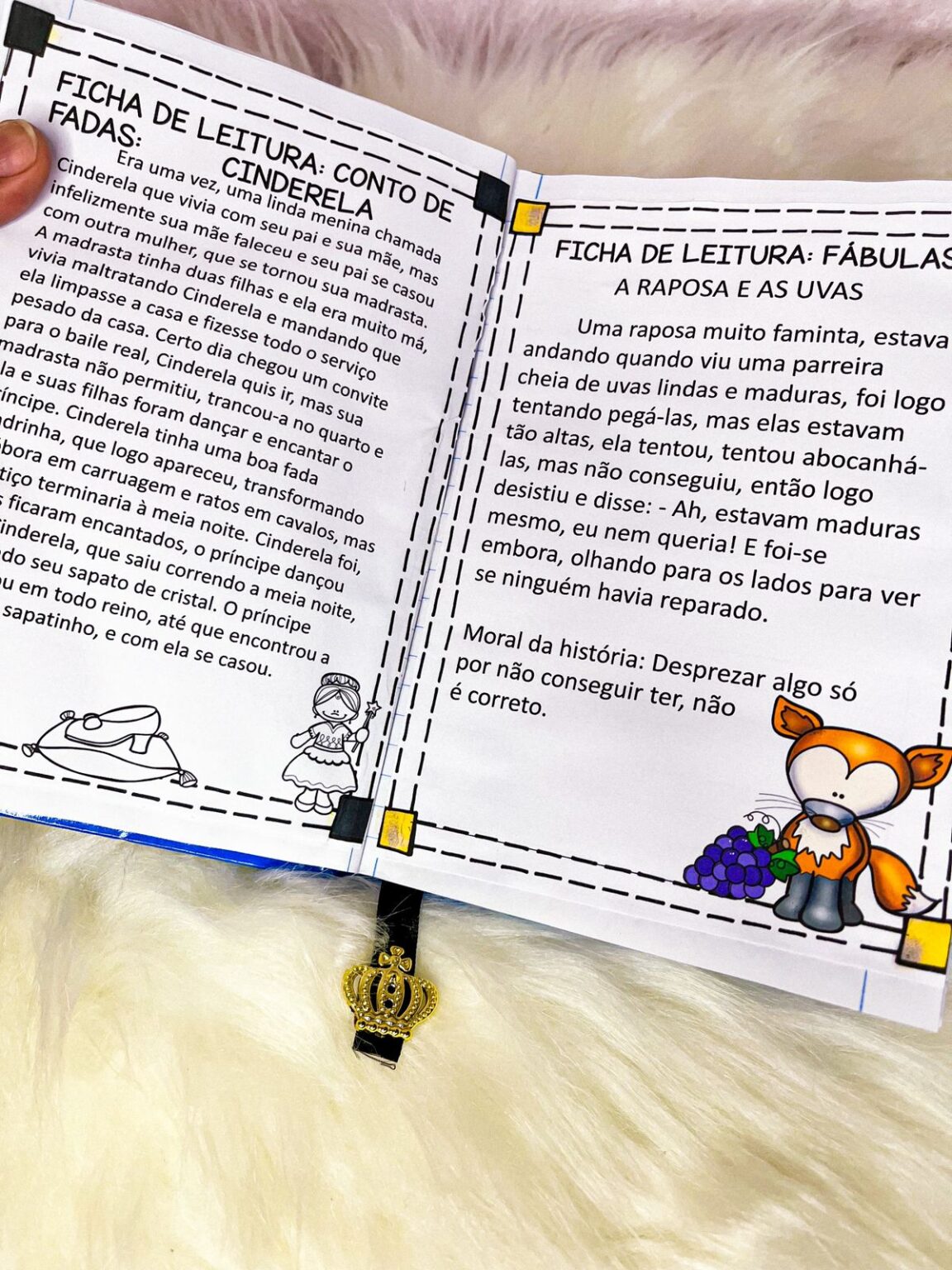 Projeto Leitura Fichas Maleta Professora Nayarah