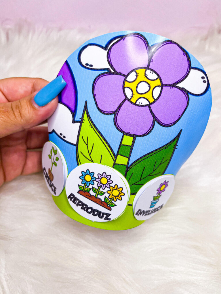 KIT PRIMAVERA 2023 – Professora Nayarah