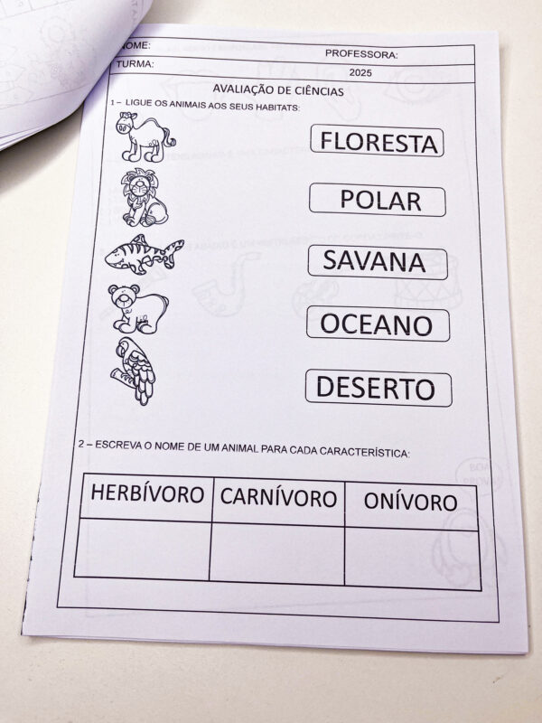 Avaliação 3º ano - 2º bimestre 2025. - Imagem 11