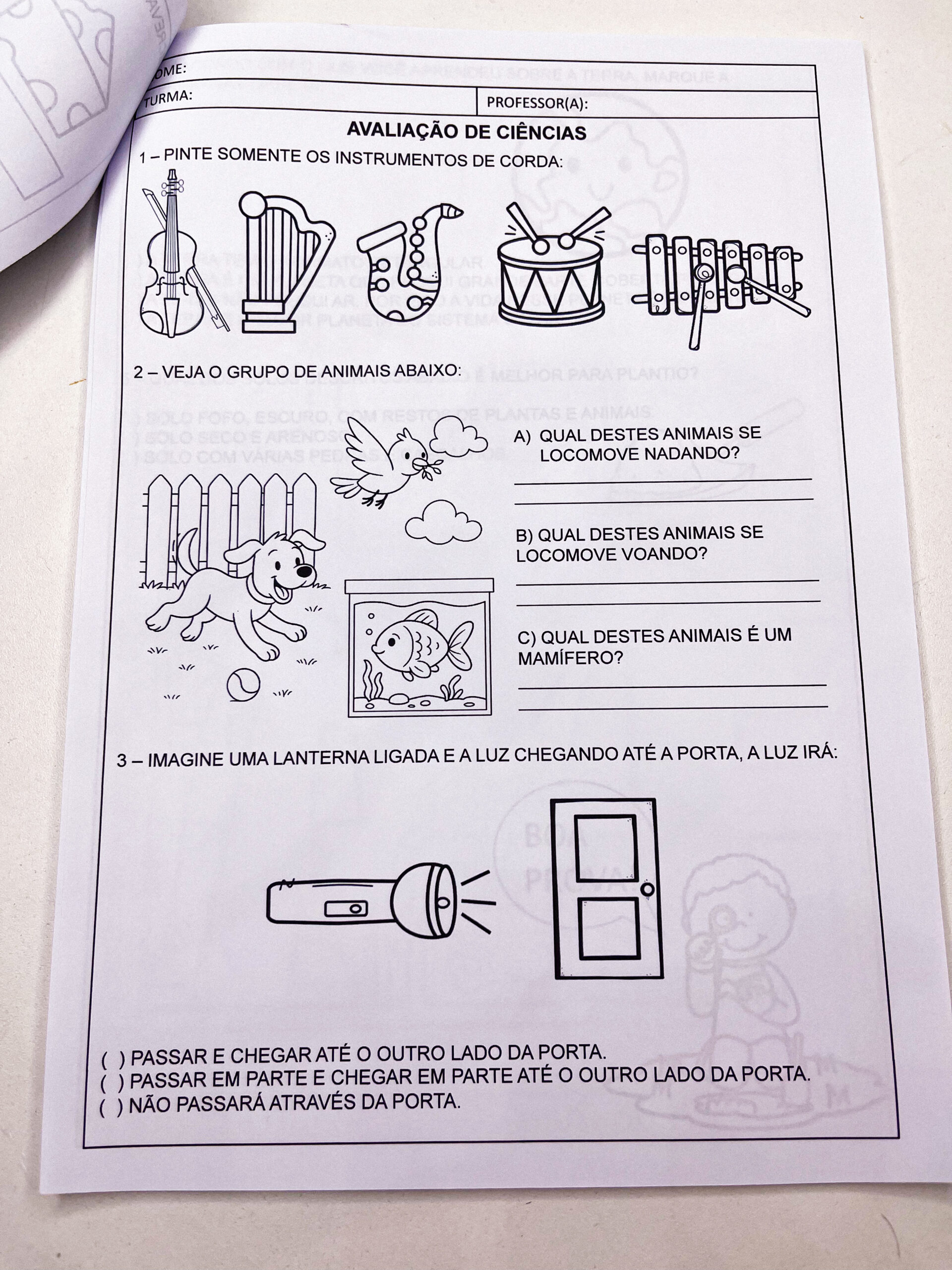 Avaliação final 3º ano - 2025 - Imagem 6