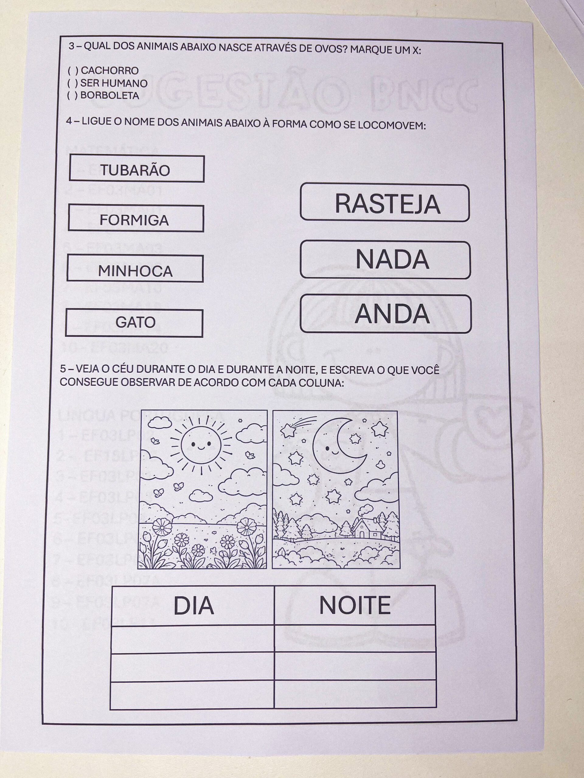 Avaliação 3º ano - 1º bimestre - 2026 - Imagem 7