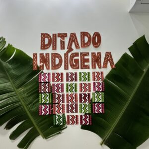 Kit Povos Indígenas 2026